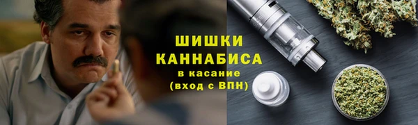 стафф Бородино