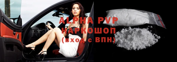 стафф Бородино