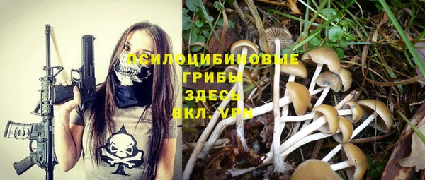 тгк Богданович