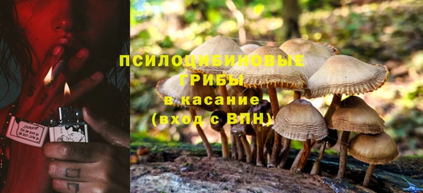 стафф Бородино