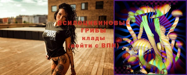 МДПВ Семилуки