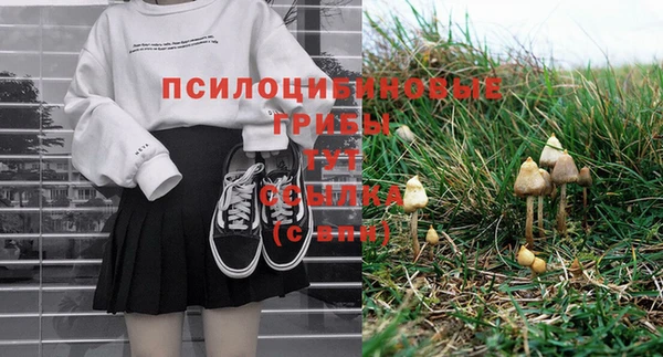 apvp Бронницы