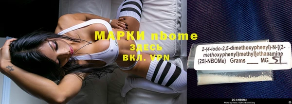 стафф Бородино