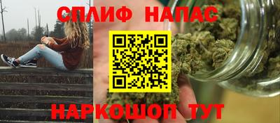 тгк Кингисепп