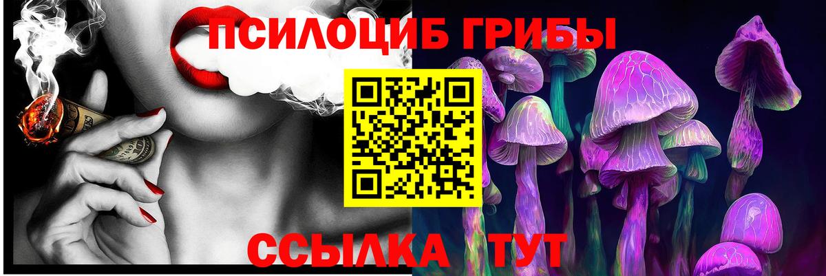 Саянск  Псилоцибиновые грибы Cubensis  Вход с VPN  Галлюциногенные грибы мухоморы 
